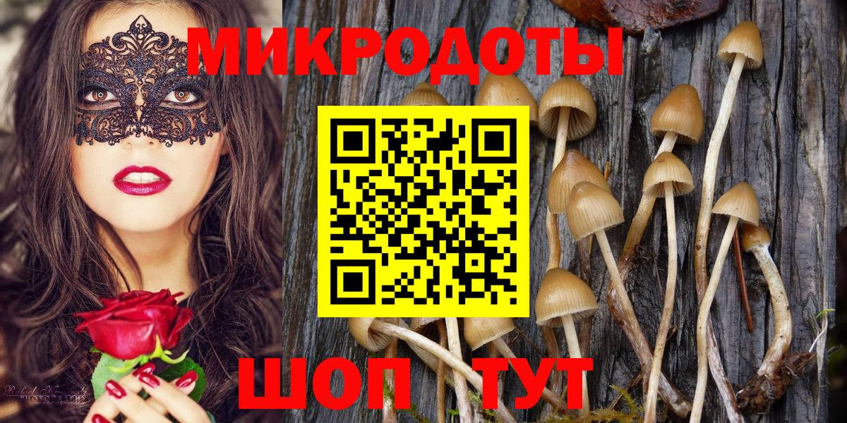 Галлюциногенные грибы мицелий Чебаркуль